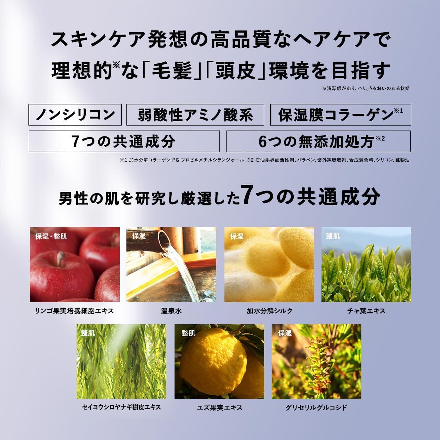 THE SHAMPOO｜7つの共通美容成分について